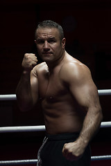 Image showing professional kickboxer in the training ring