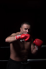 Image showing professional kickboxer in the training ring