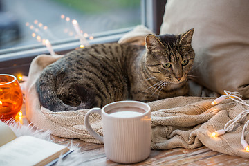 Image showing tabby cat lying on window sill with book at home