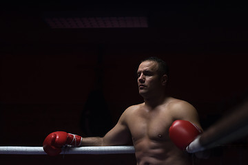 Image showing kick boxer resting on the ropes in the corner