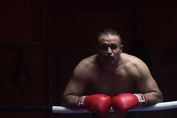 Image showing portrait of muscular professional kickboxer