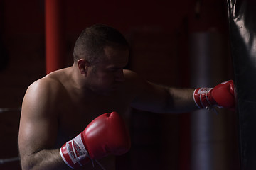 Image showing kick boxer training on a punching bag