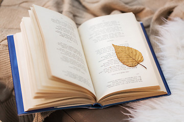 Image showing book with autumn leaf on blanket at home