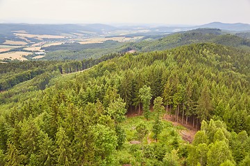 Image showing Forest hiking path