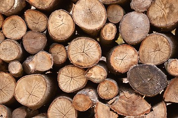 Image showing Log wood pile