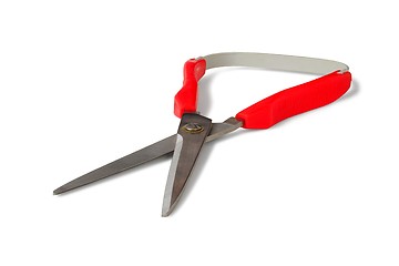 Image showing Scissors On White