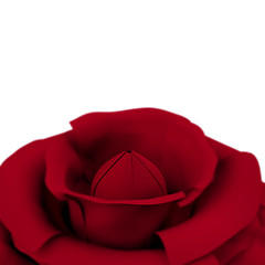 Image showing Rose With White Copyspace Background Showing Love Valentines And