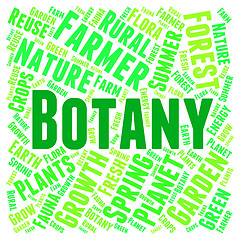 Image showing Botany Word Indicates Plant Life And Botanist