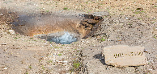 Image showing Little geyser - Iceland