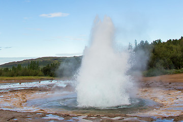 Image showing Strokkur eruption in the Geysir area, Iceland