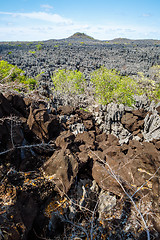 Image showing Tsingy rock formations in Ankarana, Madagascar