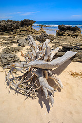 Image showing beach in Madagascar, Antsiranana, Diego Suarez