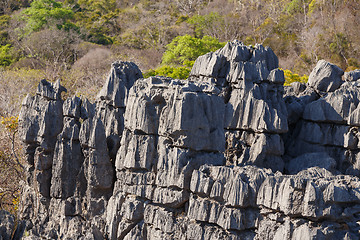 Image showing Tsingy rock formations in Ankarana, Madagascar