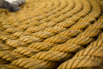 Image showing Rope texture