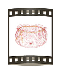 Image showing Bag on a white background. 3D illustration. The film strip.