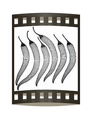 Image showing chili pepper. 3d illustration. The film strip.