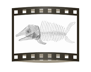 Image showing Fish bone icon. 3d illustration. The film strip.