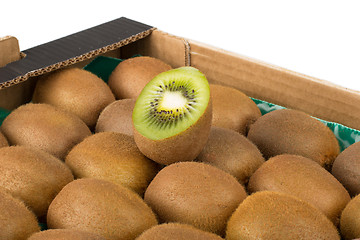 Image showing Green and yellow kiwi