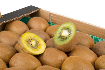 Image showing Green and yellow kiwi