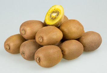 Image showing Yellow kiwi