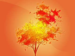 Image showing Autumn leafy tree