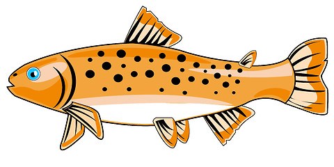 Image showing River fish trout