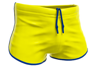 Image showing typical yellow swim trunks