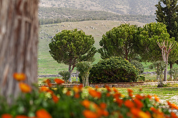 Image showing Park in Hierapolis near Pamukkale, Turkey