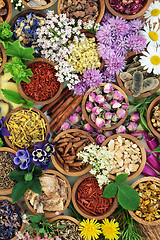 Image showing Medicinal Flowers and Herbs