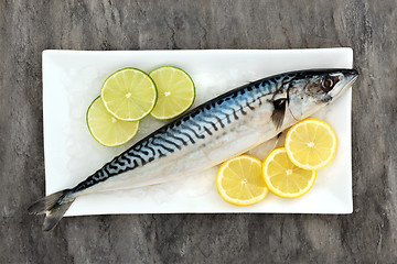 Image showing Fresh Mackerel Health Food