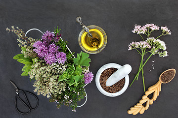 Image showing Preparing Herbal Medicine