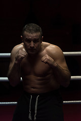 Image showing professional kickboxer in the training ring