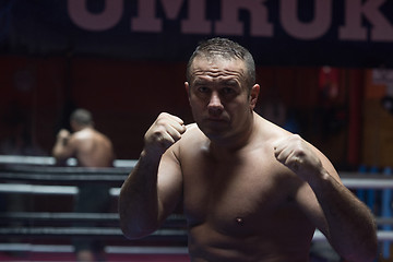 Image showing professional kickboxer in the training ring