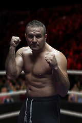 Image showing professional kickboxer in the training ring