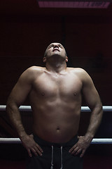 Image showing portrait of muscular professional kickboxer