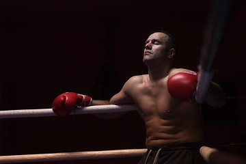 Image showing kick boxer resting on the ropes in the corner