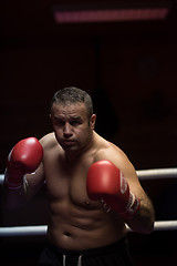 Image showing professional kickboxer in the training ring