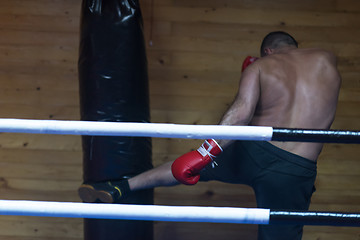 Image showing kick boxer training on a punching bag