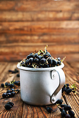 Image showing black currant