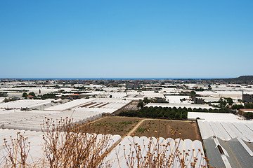 Image showing Aerial view of greenhouses