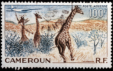 Image showing Cameroon Air Mail Stamp