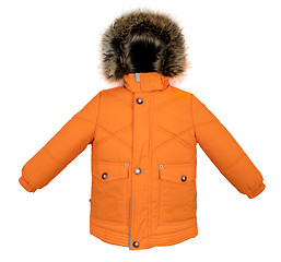 Image showing Warm jacket isolated