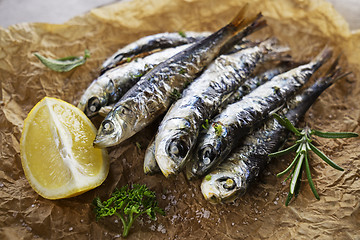 Image showing Sardines