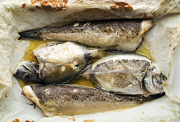 Image showing Sea fish food