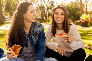 Image showing Pizza and Friends