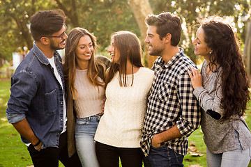 Image showing Friends at the park