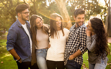 Image showing Friends at the park