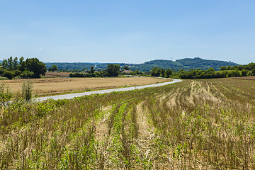 Image showing Road in the Plain