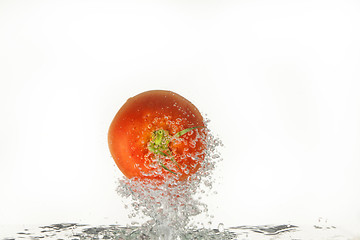 Image showing Tomato In The Water