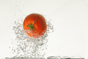 Image showing Tomato In The Water